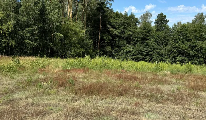 Działka rolno-budowlana Sulnówko, Sulnowko 18