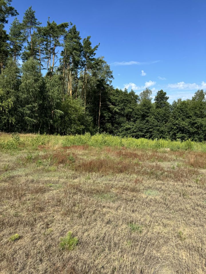 Działka rolno-budowlana Sulnówko, Sulnowko 18. Zdjęcie 1