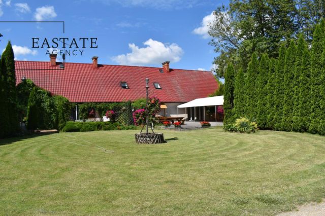 Lokal Dąbrowa. Zdjęcie 2