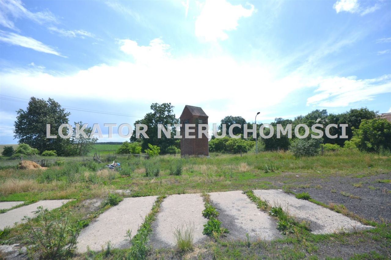 Hala/magazyn Rutwica. Zdjęcie 13