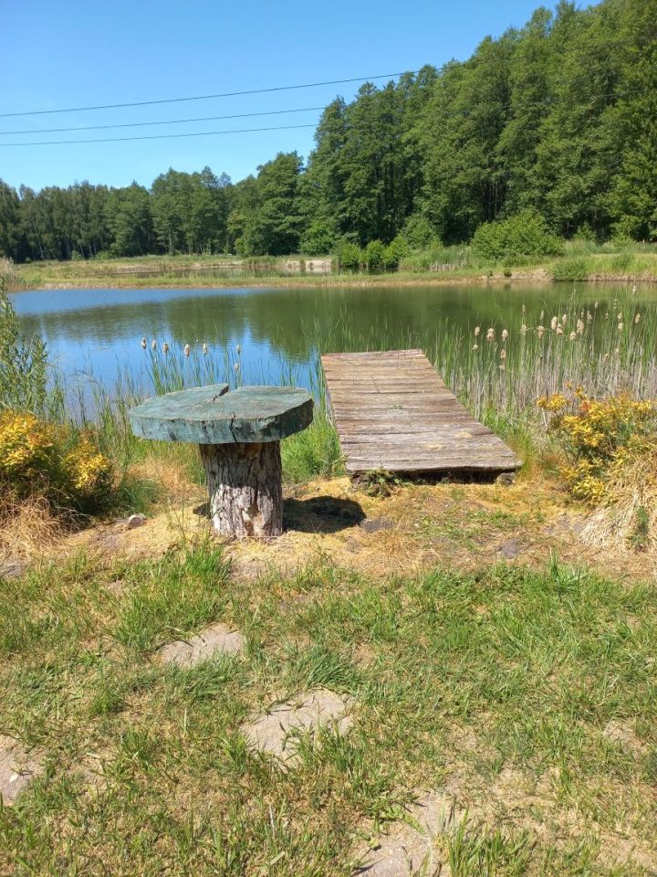 Działka budowlana Nekielka. Zdjęcie 7