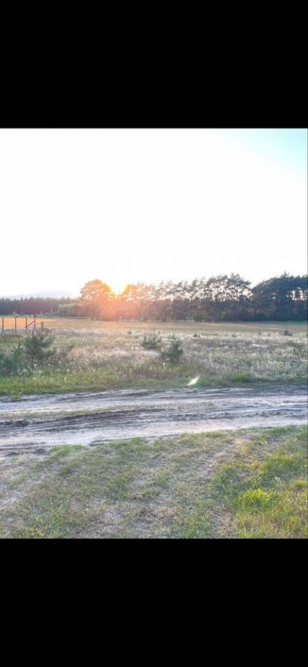 Działka budowlana Obrowo. Zdjęcie 4