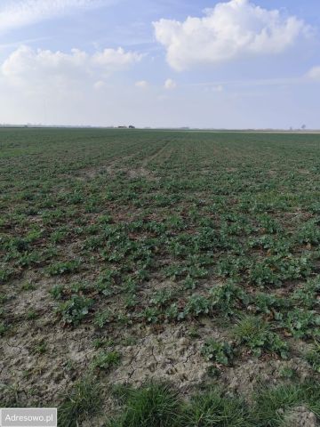 Działka siedliskowa Gniewomirowice. Zdjęcie 1