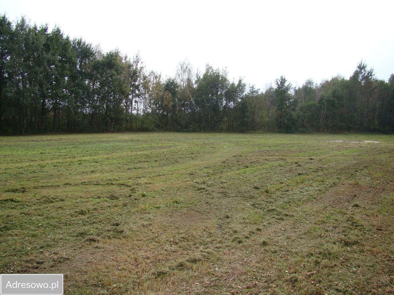 Działka budowlana Krzaki Czaplinkowskie. Zdjęcie 4