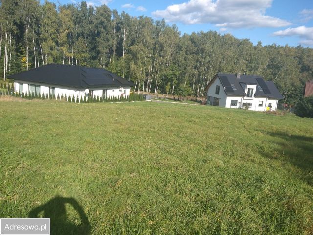 Działka budowlana Mysłowice Morgi, ul. Leśna. Zdjęcie 1