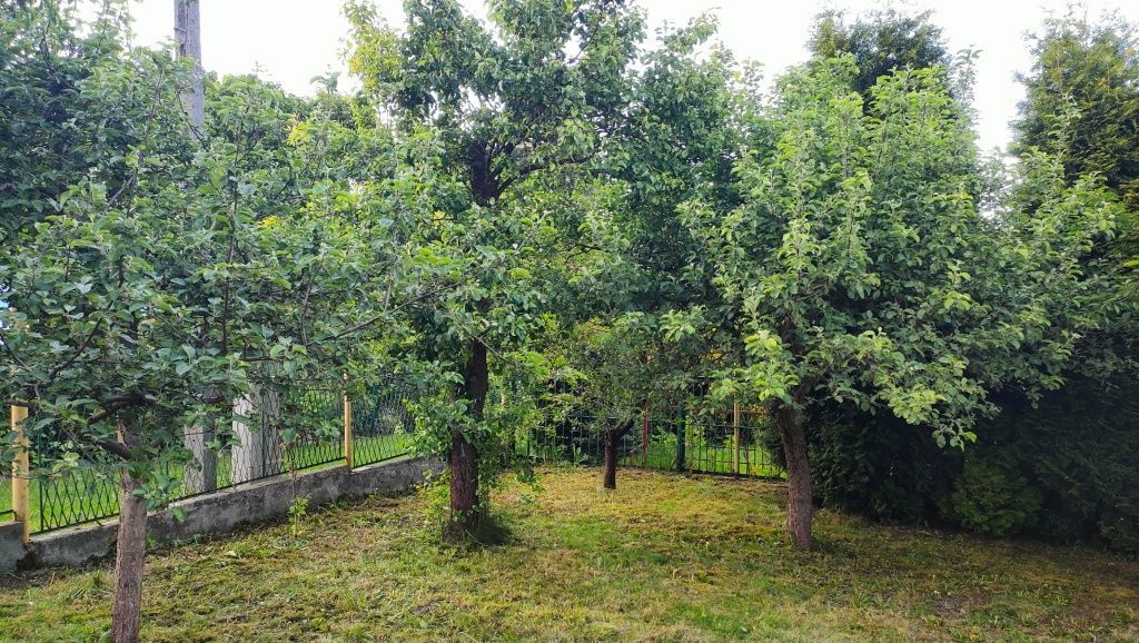 Działka rod Chorzów Maciejkowice. Zdjęcie 5