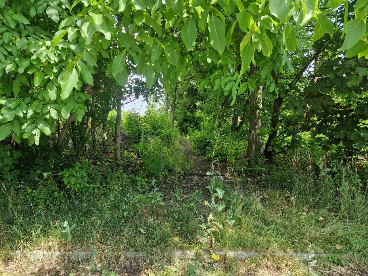 Działka budowlana Będzin Grodziec