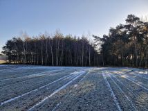 Działka leśna Goździków. Zdjęcie 3