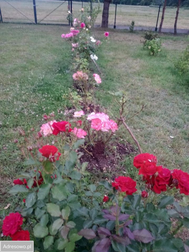 dom wolnostojący, 3 pokoje Zynie. Zdjęcie 9