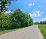 Działka rolna Antoniówka. Zdjęcie 1