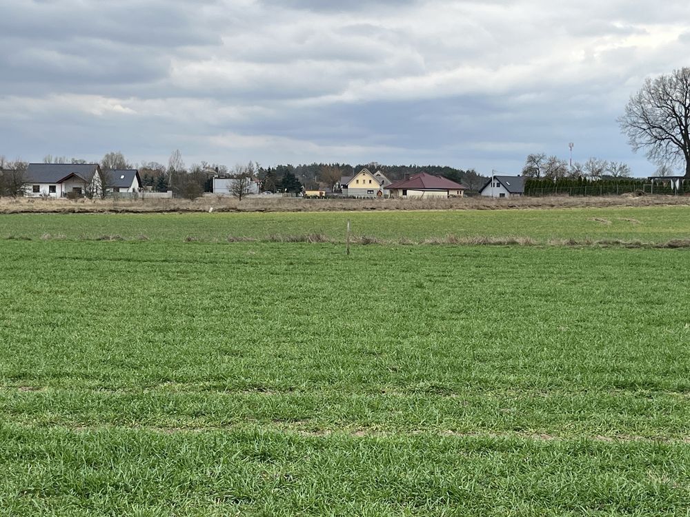 Działka budowlana Wilków, ul. Żyznowska. Zdjęcie 5