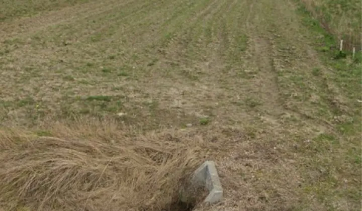 Działka rolna Nieciesławice