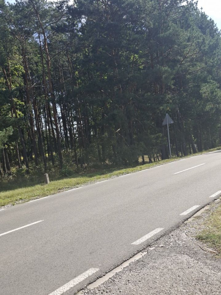 Działka budowlana Marynino. Zdjęcie 6