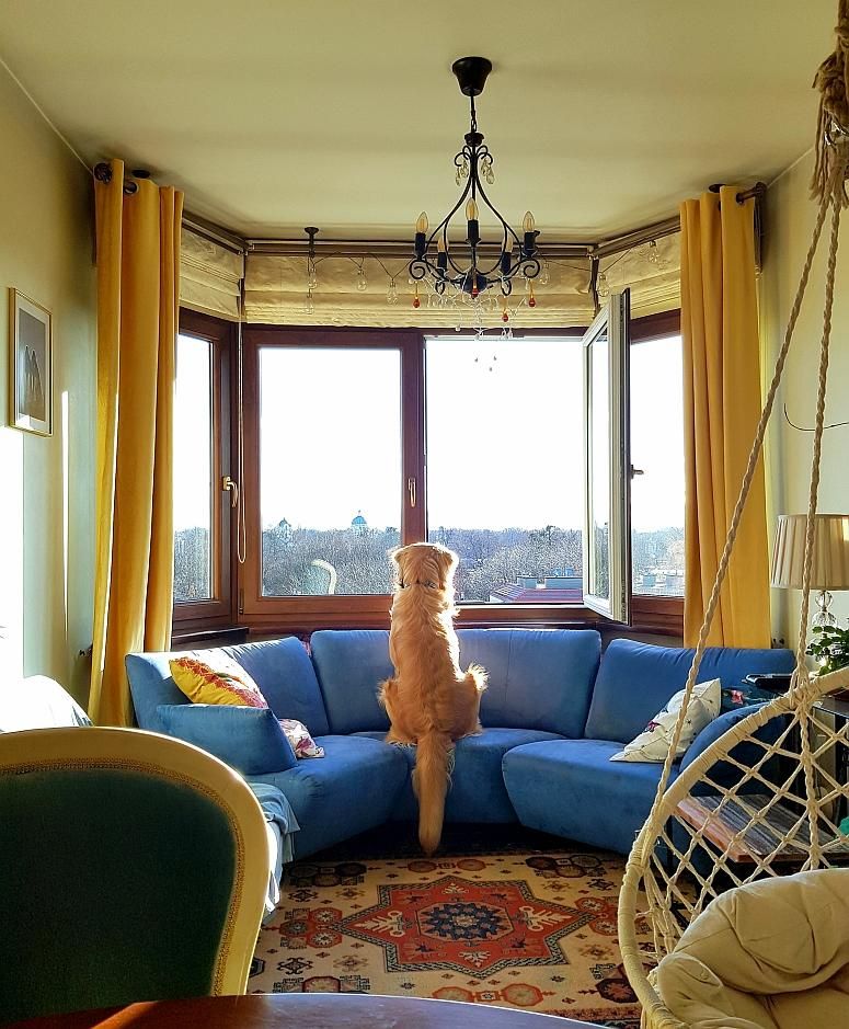 Mieszkanie 4-pokojowe Warszawa Wilanów, ul. Królowej Marysieńki