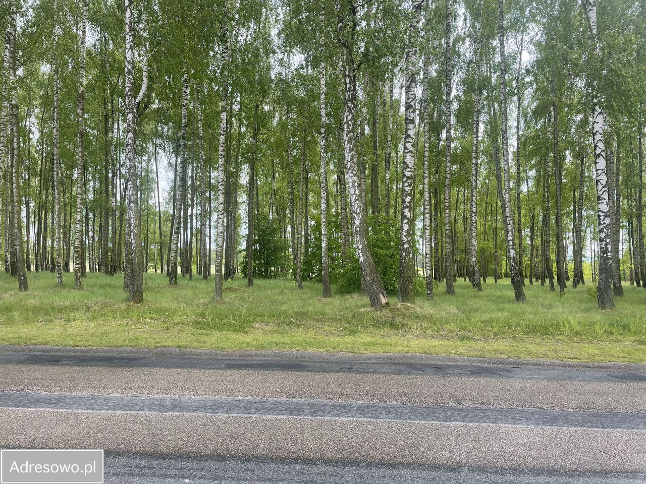 dom wolnostojący, 3 pokoje Starokrzepice, ul. Oleska. Zdjęcie 4