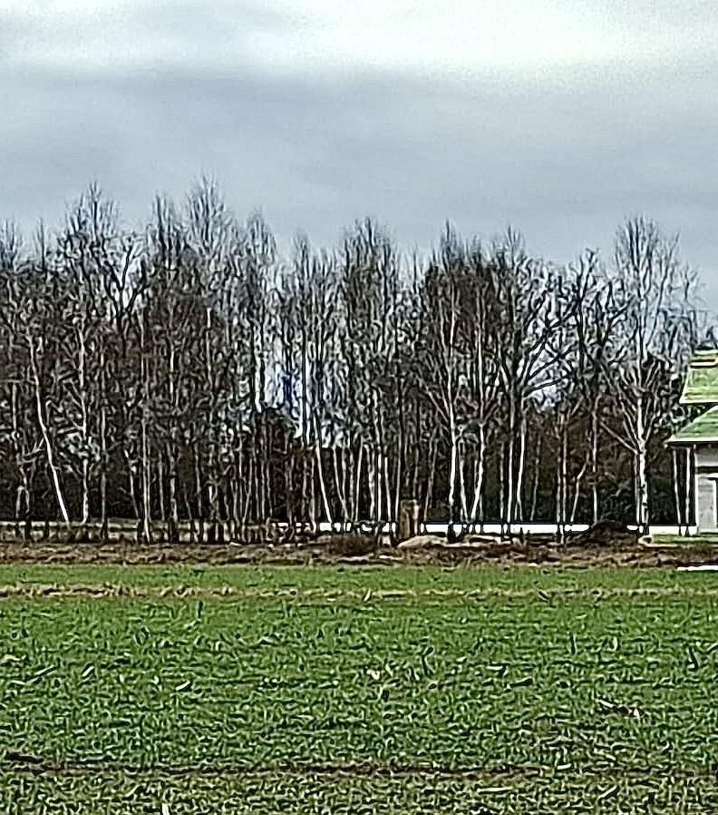 Działka budowlana Pobyłkowo Duże, Szczescia. Zdjęcie 2