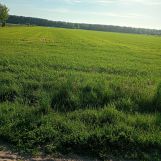 Działka rolna Jerutki. Zdjęcie 2