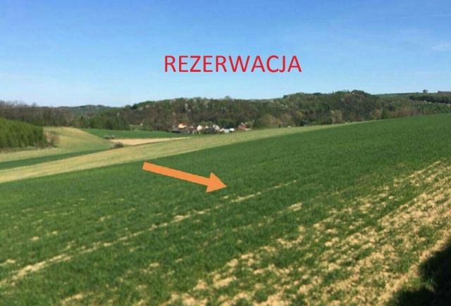 Działka rolna Kalina Wielka. Zdjęcie 1