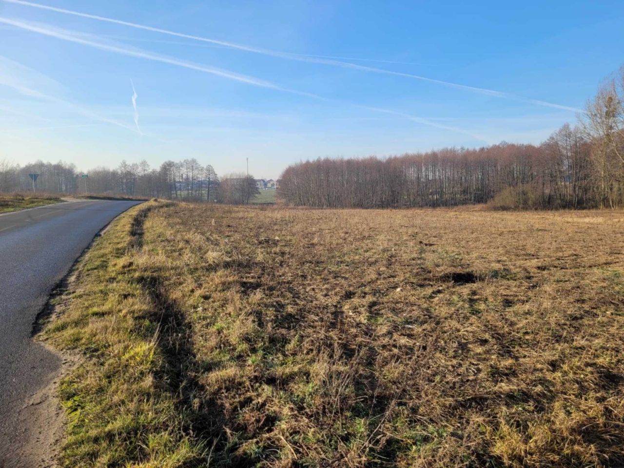 Działka budowlana Korwin. Zdjęcie 6