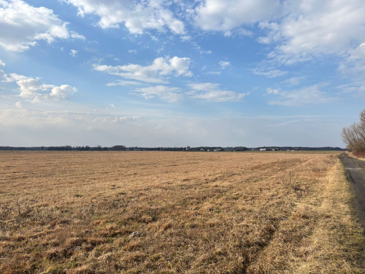 Działka budowlana Jankowice. Zdjęcie 2