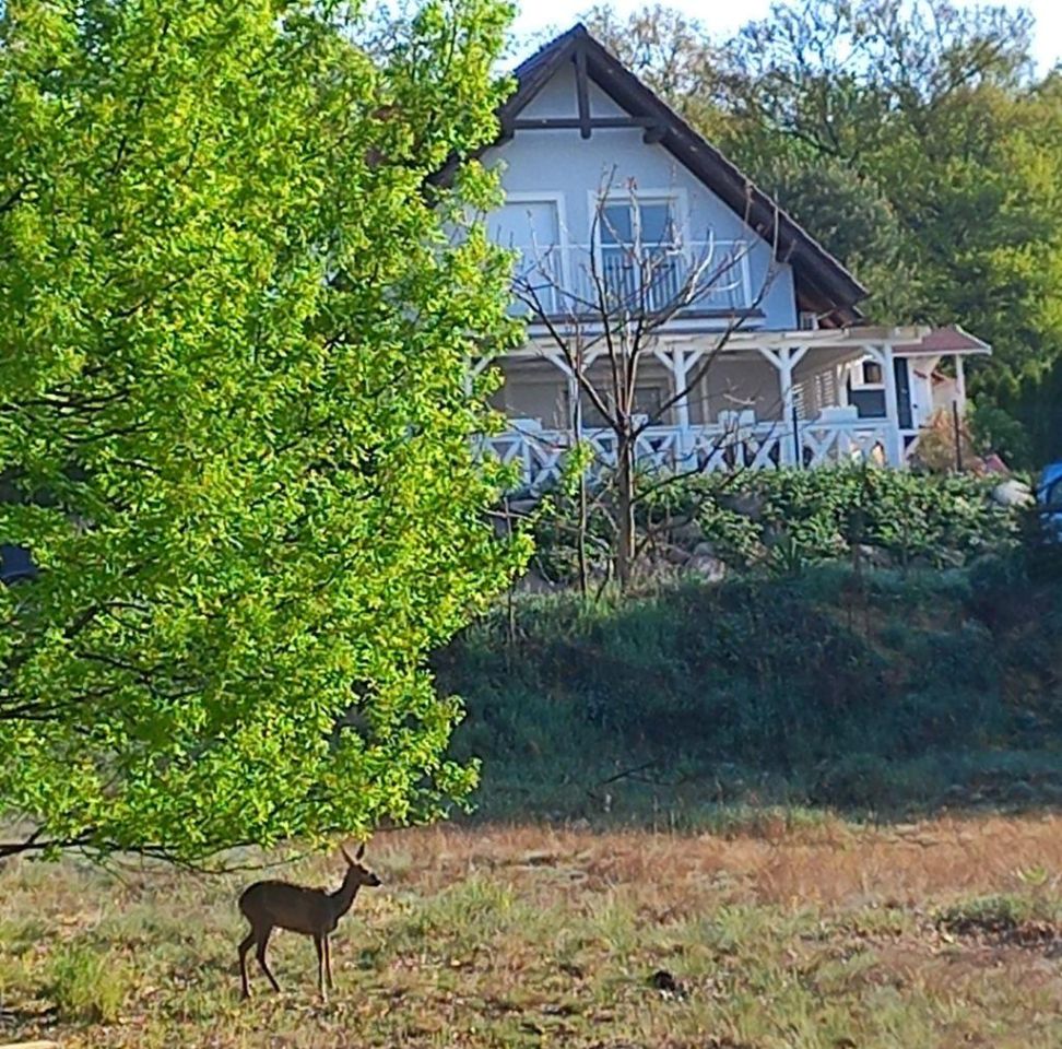 dom wolnostojący, 4 pokoje Gubin, ul. Widok. Zdjęcie 1