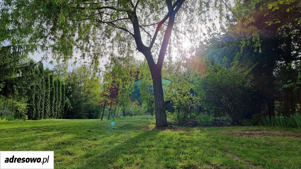 Działka budowlana Wilczków. Zdjęcie 11