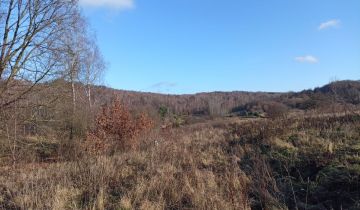 Działka rolno-budowlana Trzebniów