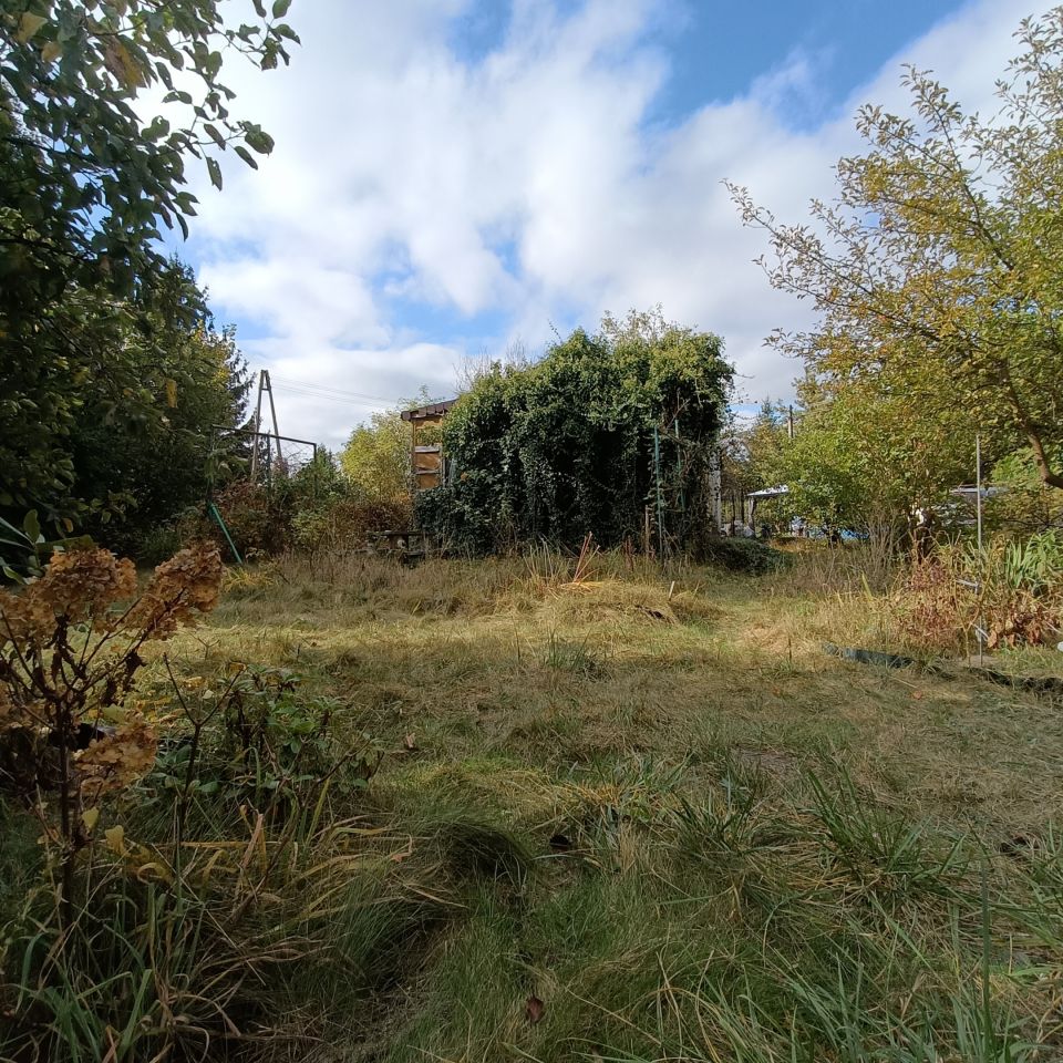 Działka rekreacyjna Warszawa Paluch, ul. Ogrodników. Zdjęcie 3