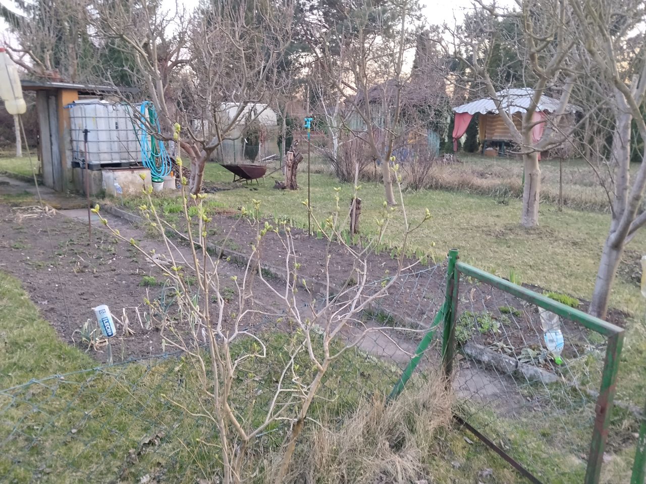 Działka rod Nowa Sól, ul. Wodna. Zdjęcie 9