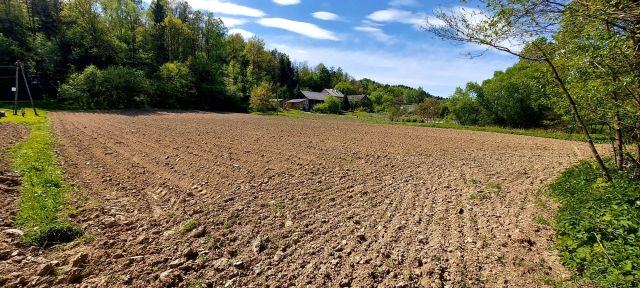Działka rolna Hłudno. Zdjęcie 1