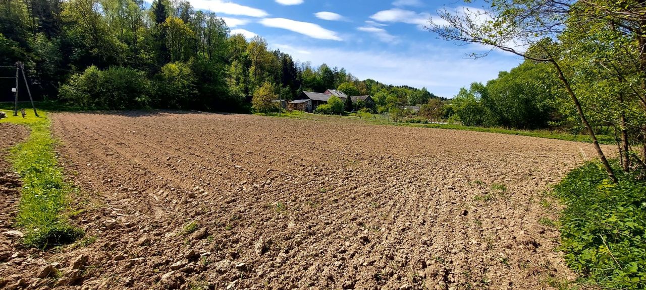 Działka rolna Hłudno. Zdjęcie 1