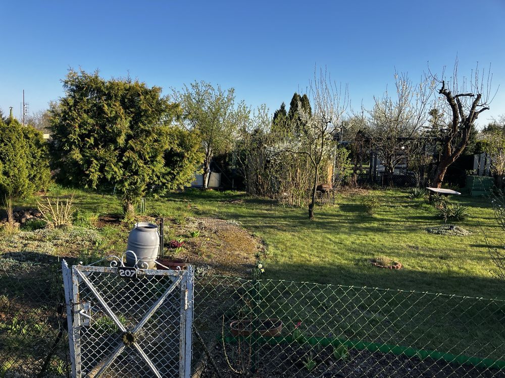 Działka rod Leszno Leszczynko, ul. Dożynkowa. Zdjęcie 5