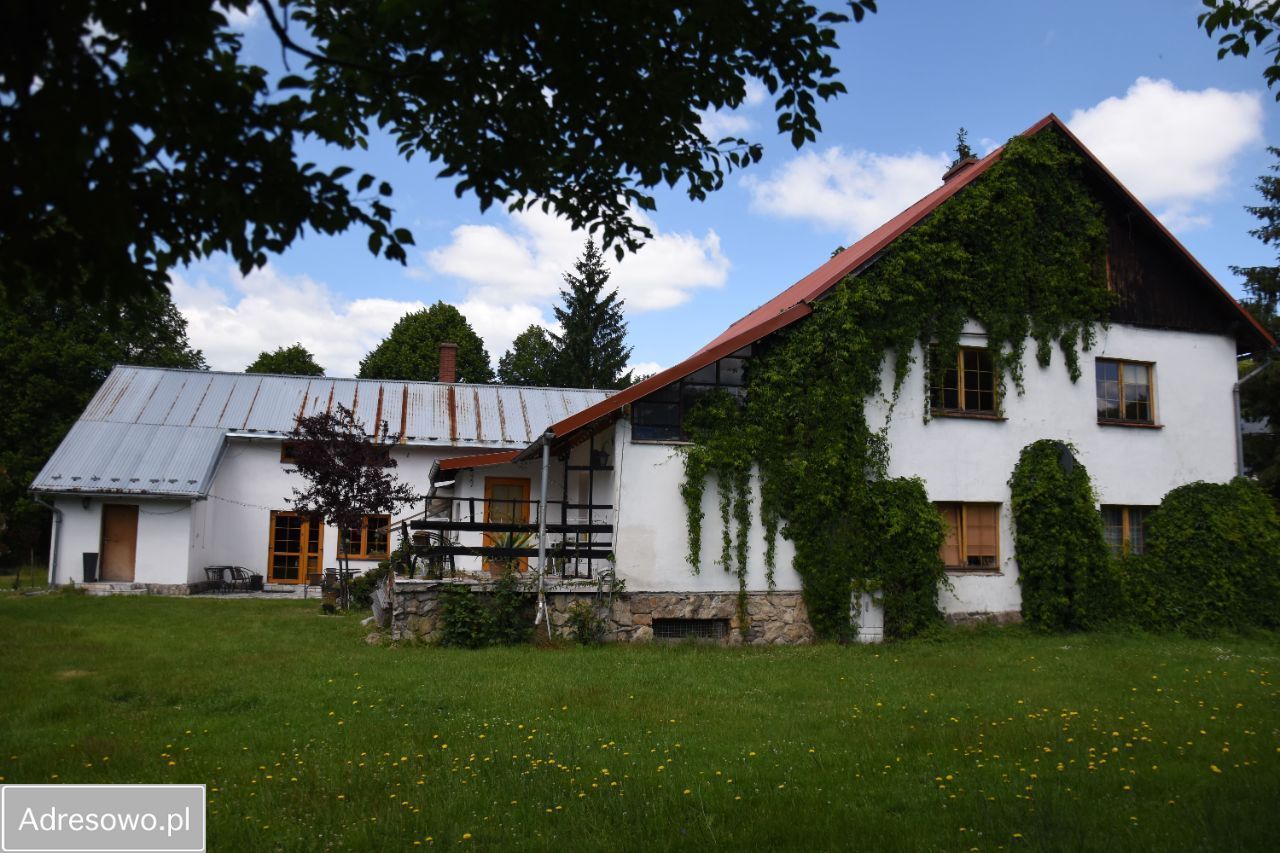 Hotel/pensjonat Nowa Wieś. Zdjęcie 4