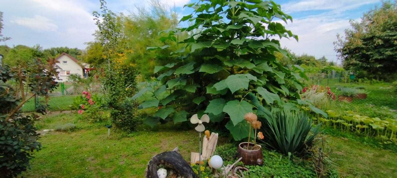 Działka rod Kraków Podgórze, ul. gen. Henryka Kamieńskiego. Zdjęcie 5