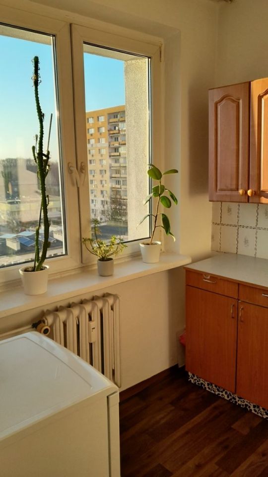 Mieszkanie 1-pokojowe Łódź Retkinia, ul. Rajdowa. Zdjęcie 7