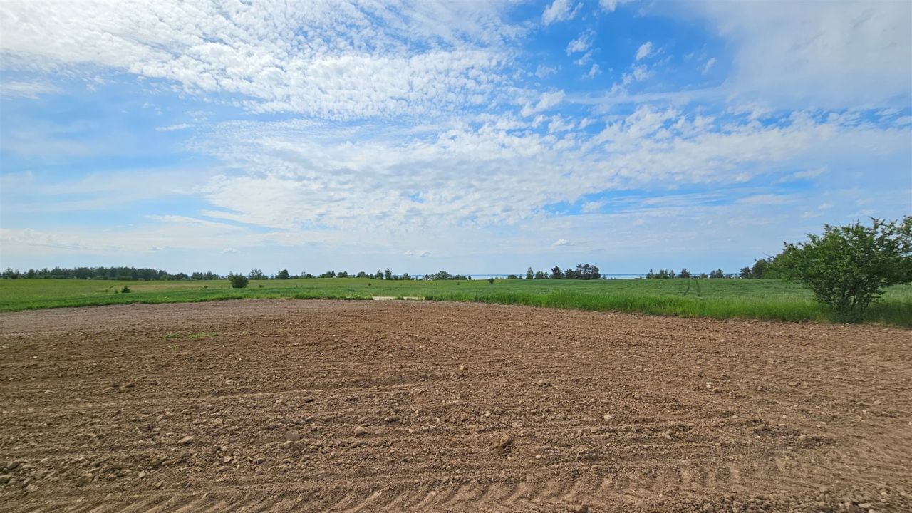 Działka rolna Dziubiele. Zdjęcie 15