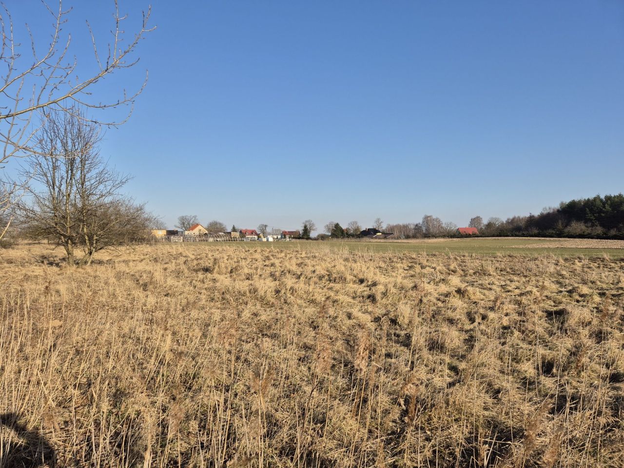 Działka budowlana Lednogóra. Zdjęcie 6