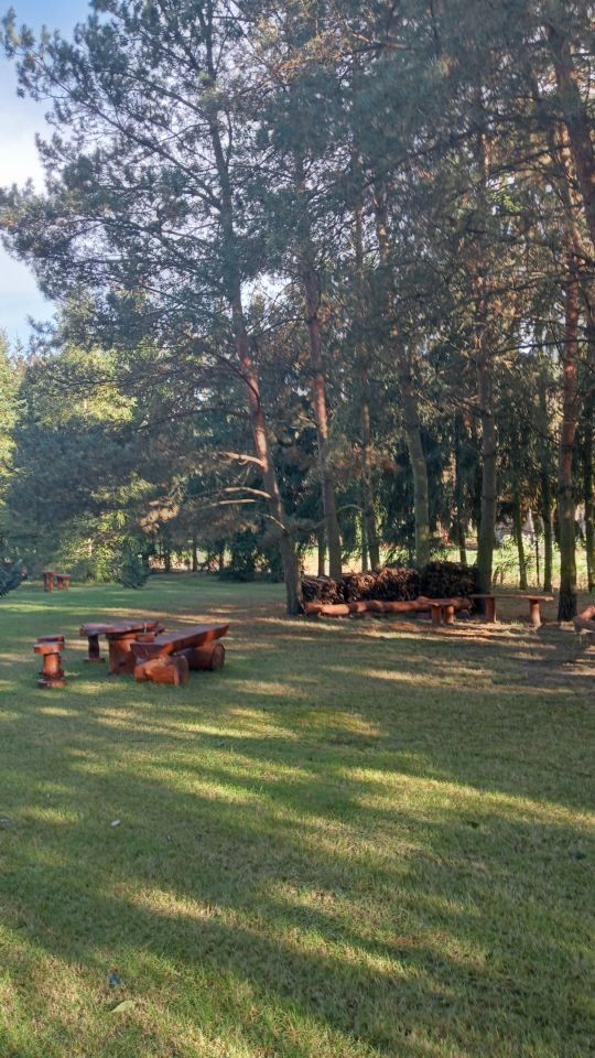 Działka siedliskowa Husynne, ---. Zdjęcie 19