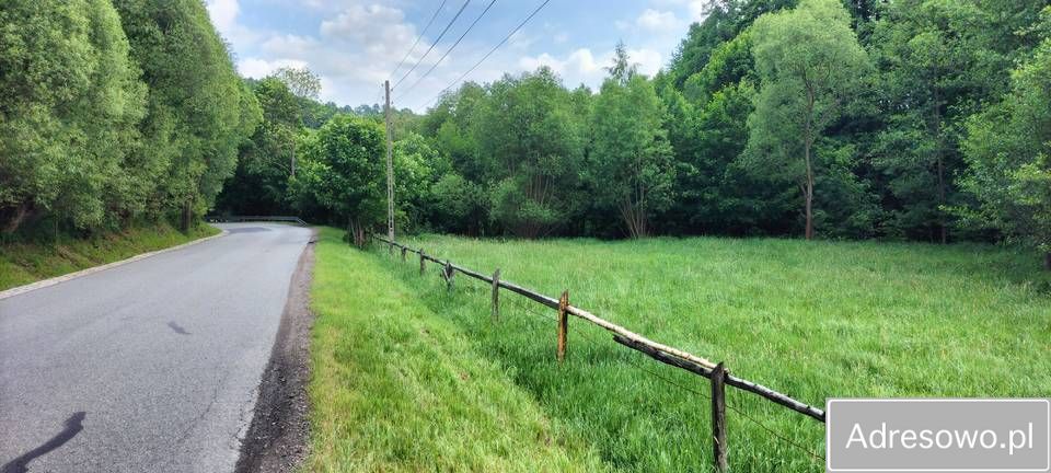 Działka budowlana Zagórze Śląskie, ul. Główna. Zdjęcie 10