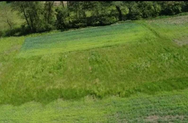 Działka rolno-budowlana Klimontów. Zdjęcie 7