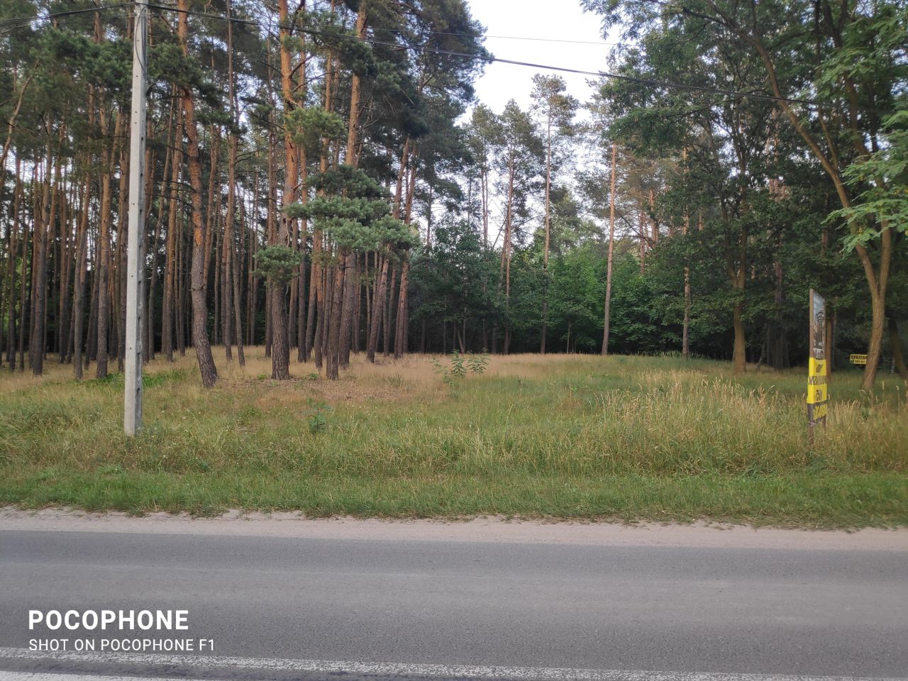 Działka leśna Ruda-Bugaj Bugaj. Zdjęcie 7