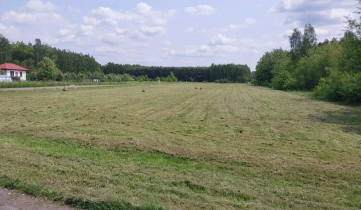 Działka budowlana Firlej