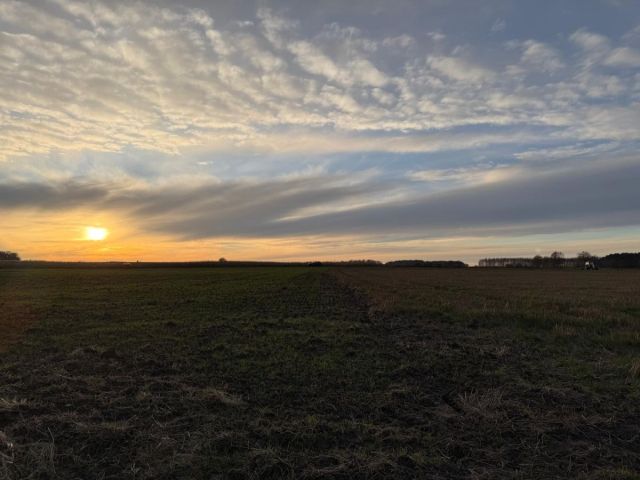 Działka rolna Oleśniczka. Zdjęcie 9