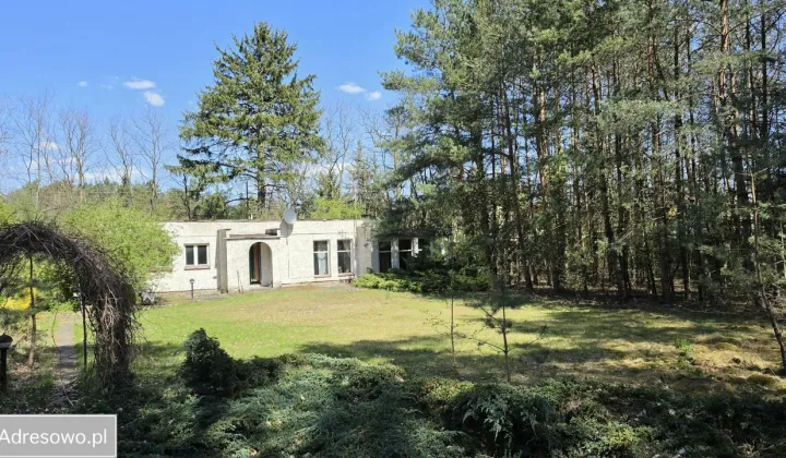 Działka inna Władysławów, ul. Wojska Polskiego