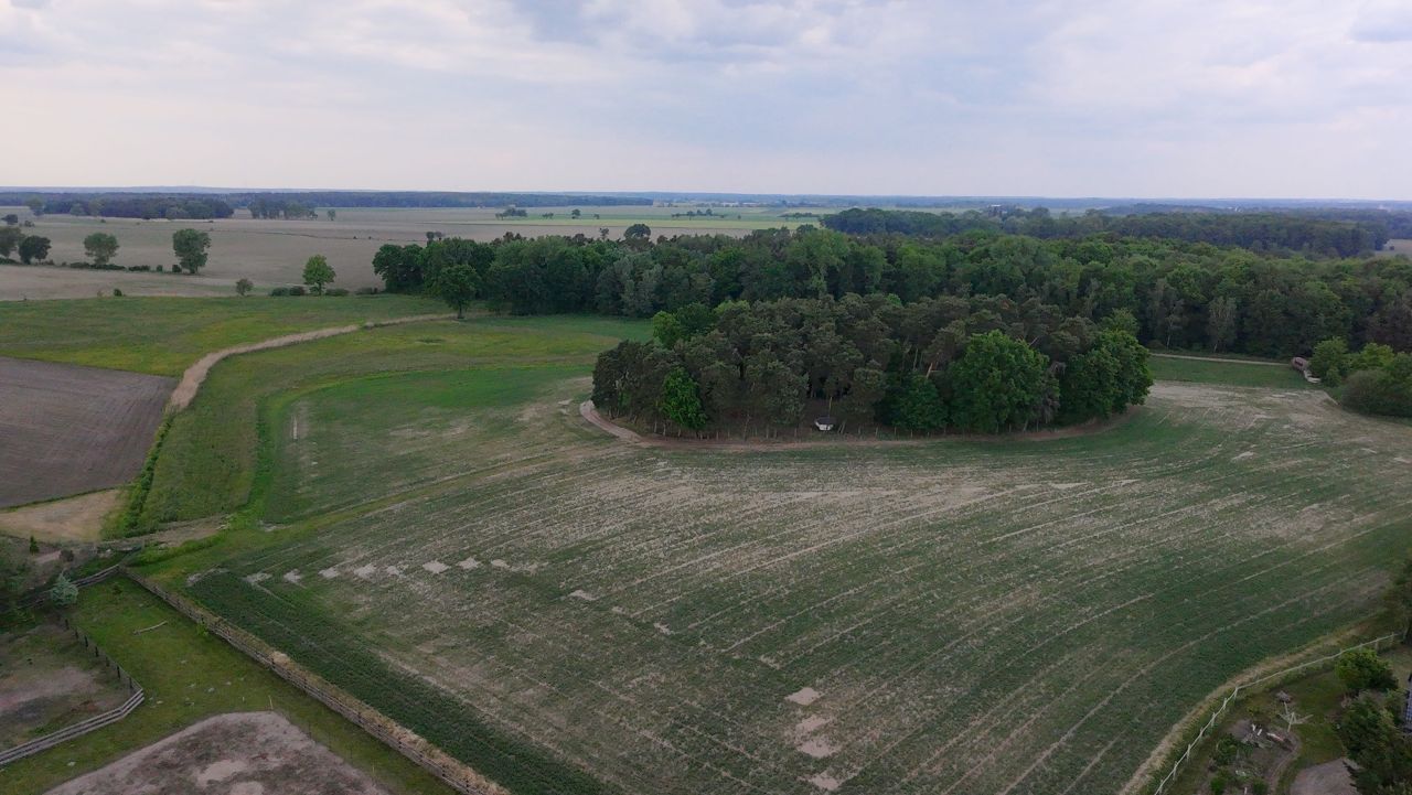 Działka budowlana Tarchalin. Zdjęcie 6