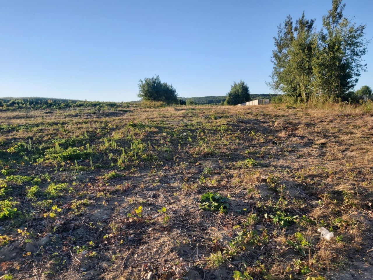 Działka rolno-budowlana Lechów. Zdjęcie 2