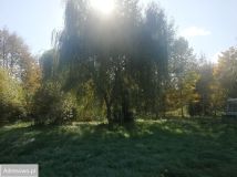 Działka budowlana Dzierżązna. Zdjęcie 4