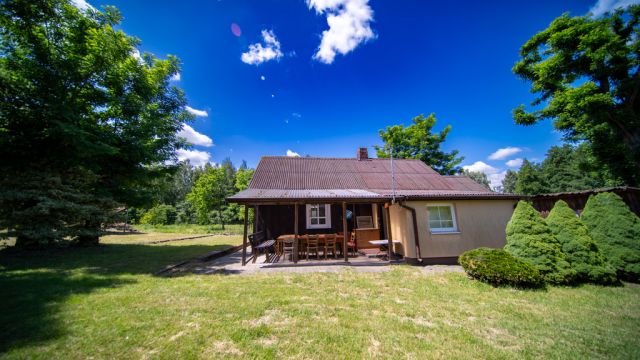 Działka siedliskowa Tarło. Zdjęcie 24