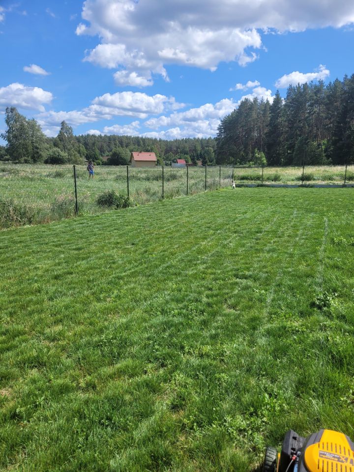 Działka rolna Zgniłocha, Brak. Zdjęcie 6