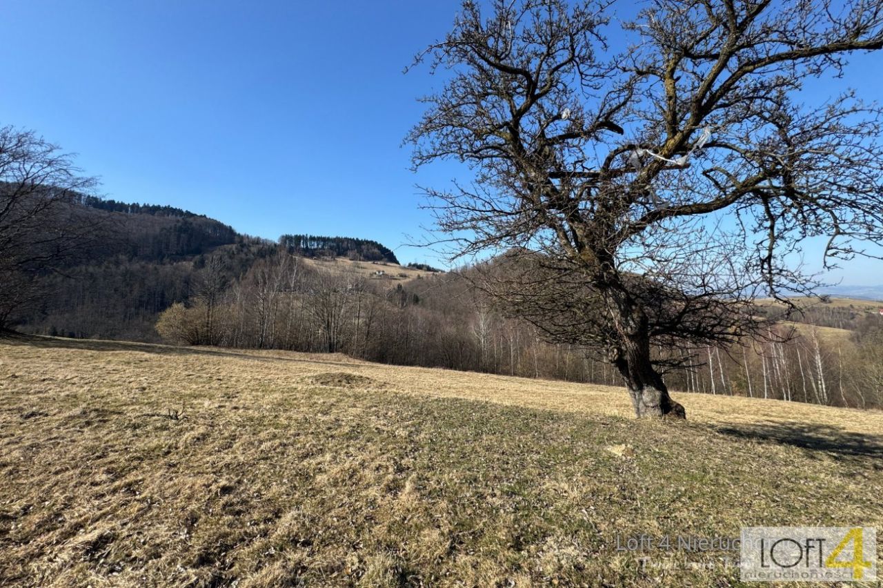 Działka budowlana Obłazy Ryterskie. Zdjęcie 11